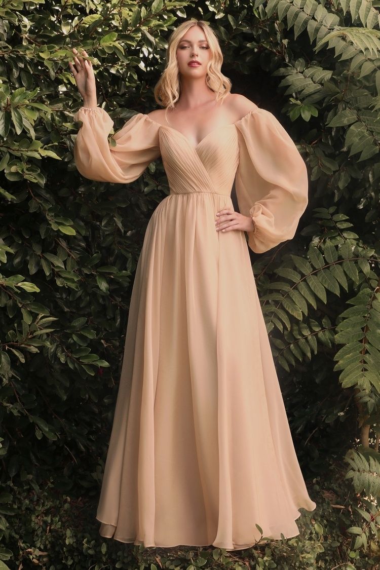 Long Sleeve Chiffon A-Line Dress-6