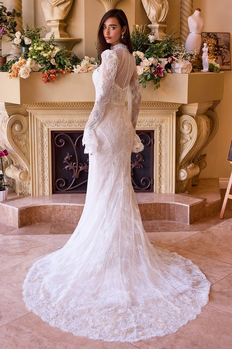 Versitile Fitted Lace Bridal Gown