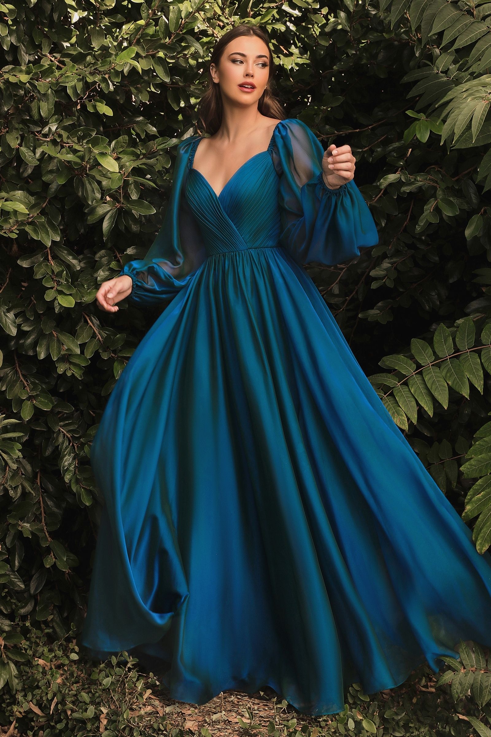 Long Sleeve Chiffon A-Line Dress-1
