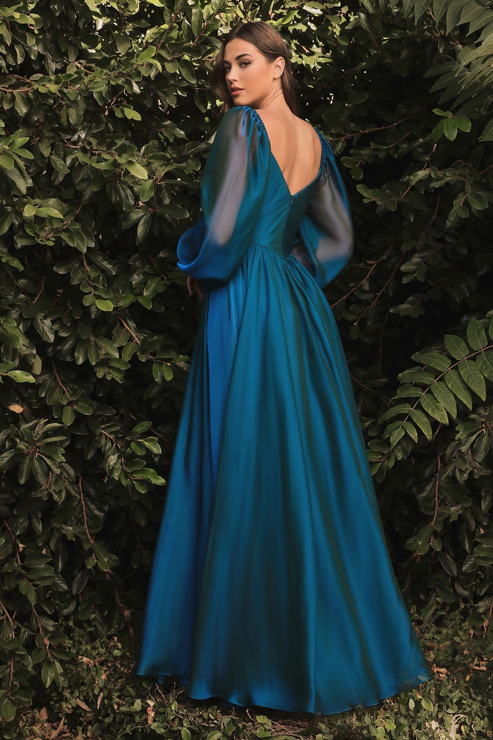 Long Sleeve Chiffon A-Line Dress-2