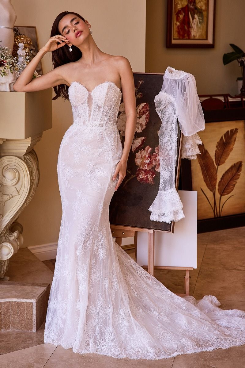 Versitile Fitted Lace Bridal Gown