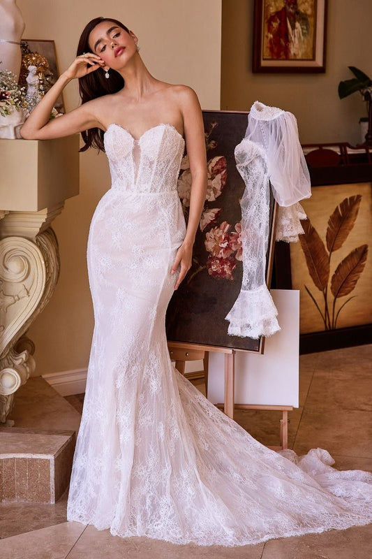 Versitile Fitted Lace Bridal Gown
